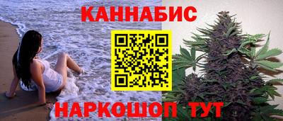мдпв Камышлов