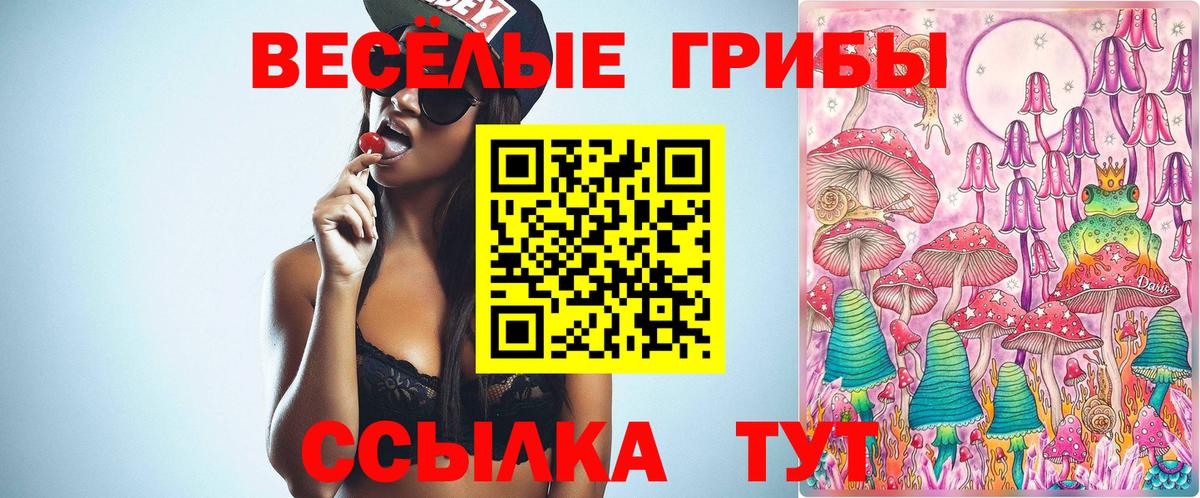 Искитим  Галлюциногенные грибы Psilocybe  Вход с VPN 