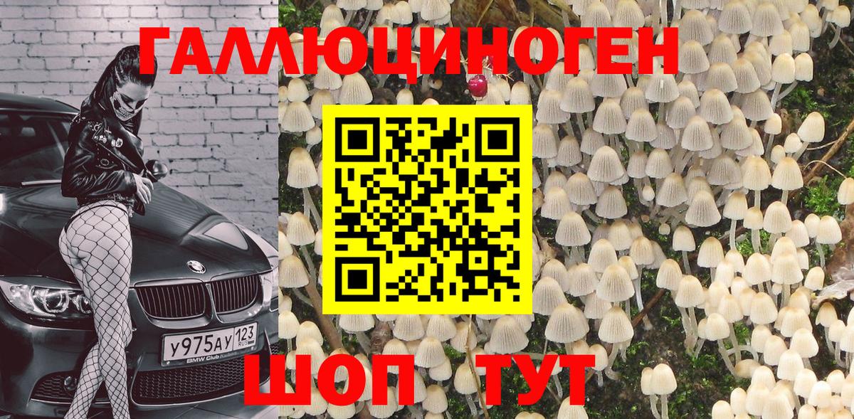 Псилоцибиновые грибы GOLDEN TEACHER Искитим